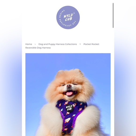 WYLD CUB pocket rocket reversible dog harness, leash, poop bag holder set - Picture 5 of 6